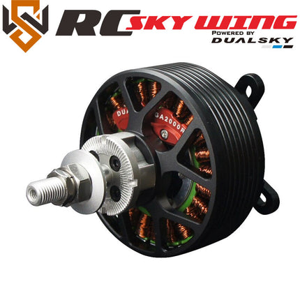 Collection image for: Skywing / Dualsky