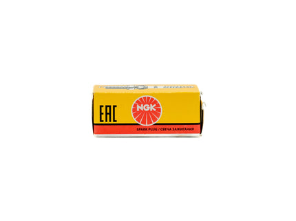 NGK CM6 Spark Plug Box on white background