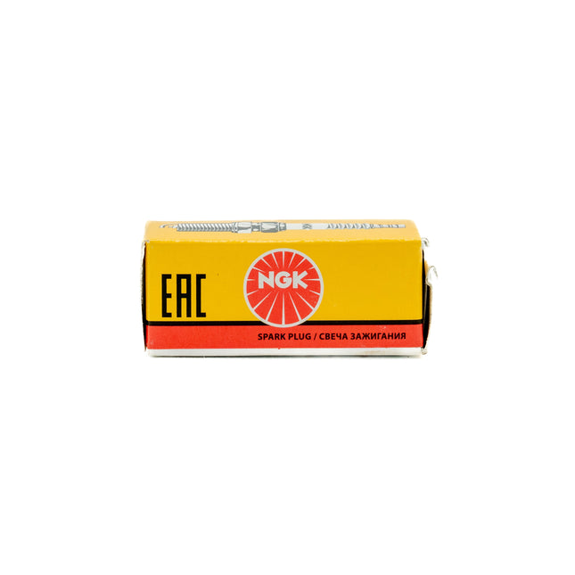 NGK CM6 Spark Plug Box on white background
