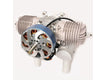 Customer Agrees to non-refundable Special Order & will ship when stock arrives