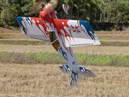 Model airplane in flight with a blurred background of trees and grass.
