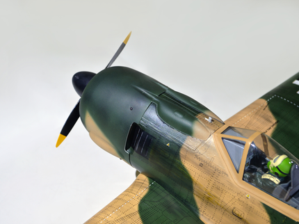 Phoenix Model Focke Wulf 55" with Electric Retracts Model airplane with green and brown camouflage pattern on a white background