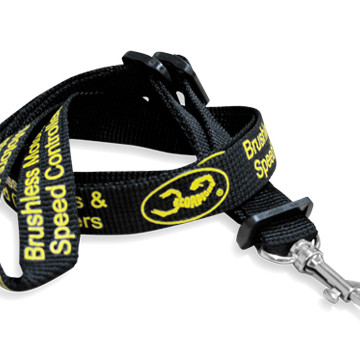 Scorpion Lanyard