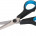 Scissors & Shears