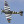 Scale Warbirds
