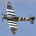 Scale Warbirds