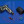 Replacement Plug Caps