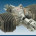 3W 48iB2 Spares