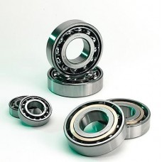 YS 120,140,160,170,175 Rear Bearing